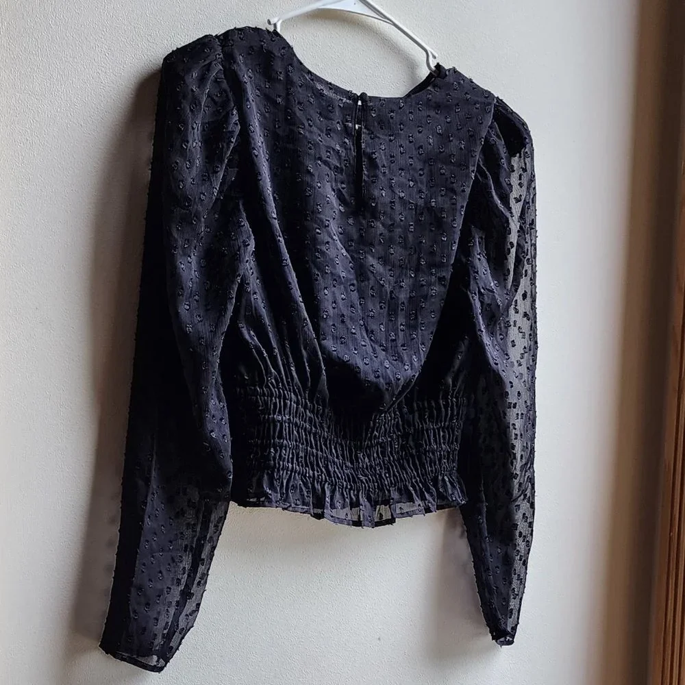 Express Sheer Black Cropped Blouse Size XS